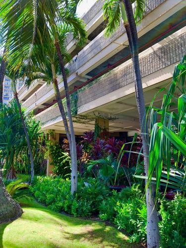 Apartamento Hawaiian Monarch 2513 Condo