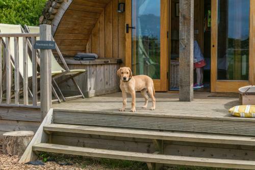 Luxury Glamping Cabins In Stunning Countryside