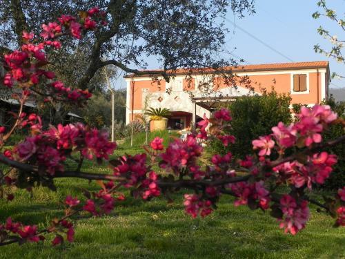 Bed & Breakfast Il Giardino Delle Esperidi
