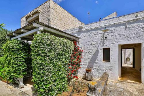 Agroturismo Masseria Casina Vitale