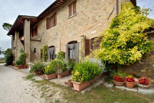 Agroturismo Agriturismo Bellarosa