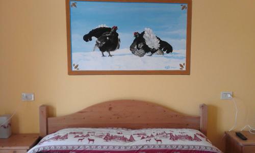 Agroturismo Agriturismo Belotti