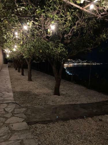 Hostal La Marfra Affittacamere