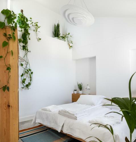 Apartamento Outpost - Ocean Casitas