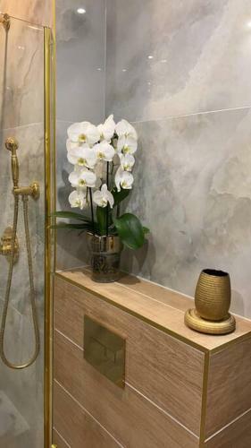Apartment ,, Copacabana ? Deluxe