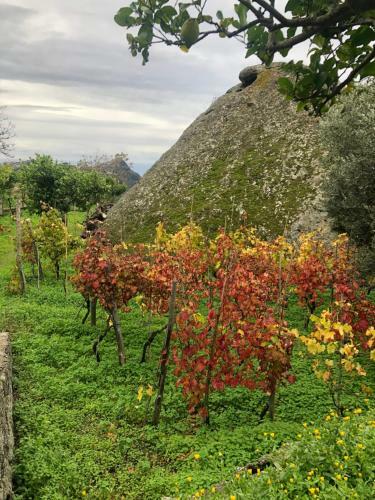 Villa Dei Barili - Natura&relax