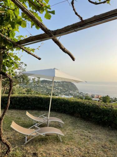 Villa Dei Barili - Natura&relax