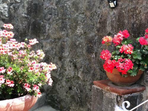 B&B Villa Anna Wunderbar