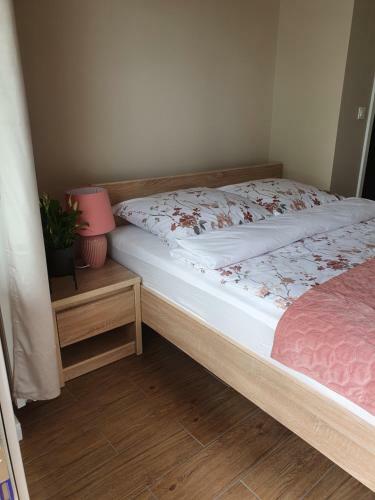 Zamiejska Modern Apartment