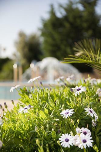 Hotel Punta Giara