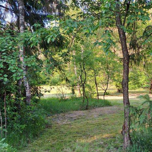 Apartamento Auf Der Steinh�he