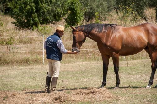 Agroturismo Podere Il Poggiolo