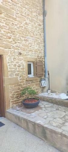 Apartamento Le G�te Des Pierres Dor�es
