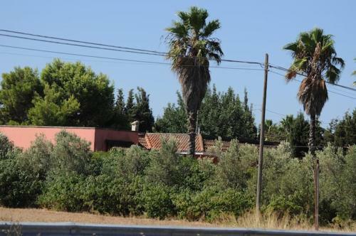 A 6 Km Da Porto Cesareo, La Casa Del Carrubo