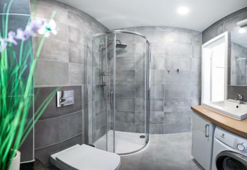 Wilk Zaj?c Domki Apartamenty