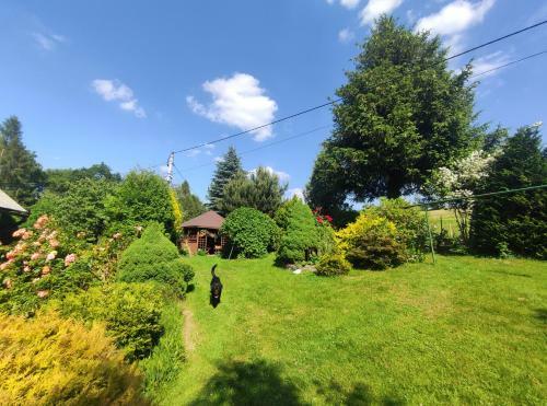 Apartamento Agroturystyka Zielona Dolinka