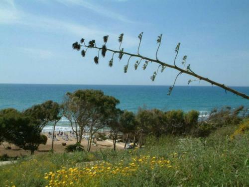 Villa Antica Sicilia