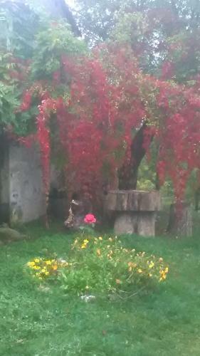 Bed & Breakfast Rifugio Aquila Verde