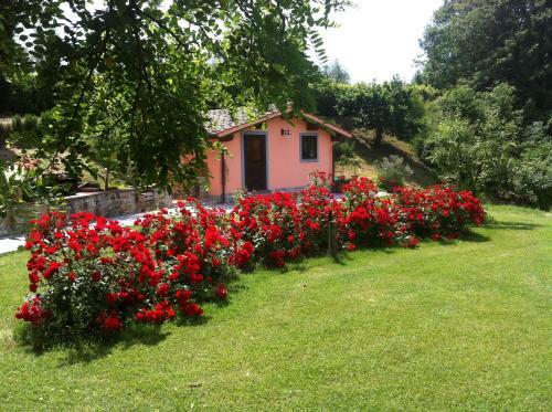 Hostal Colonica Poggio Renai