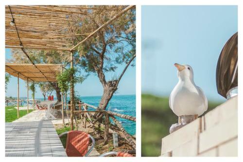 Bed & Breakfast Bagni Vittoria