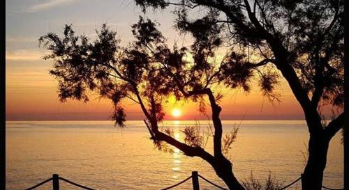 Bed & Breakfast Bagni Vittoria