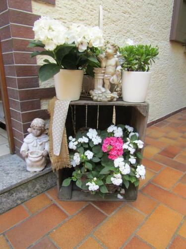 Apartamento Ferienwohnung Liesel