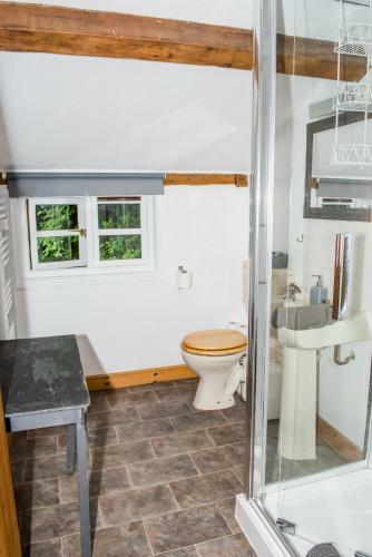 Apartamento Glyngynwydd