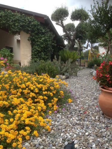 B&B Casa Delle Rondini