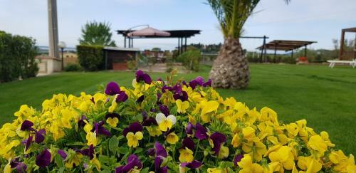 Agroturismo Agriturismo Diaccia Botrona