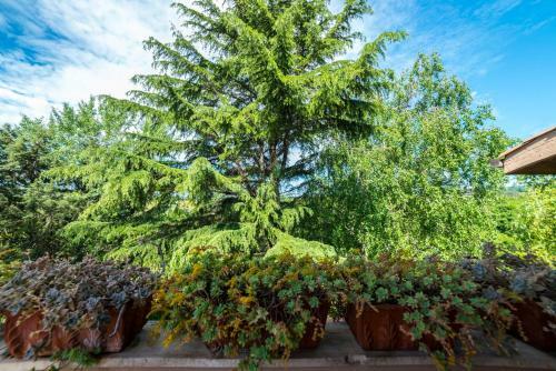 B&B Acque Lucenti