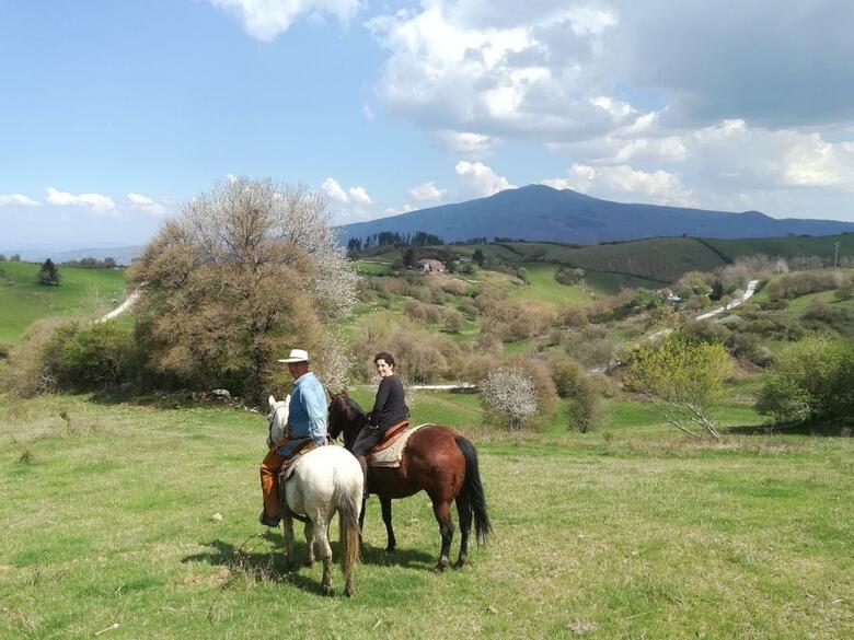 Agroturismo Podere Santa Luisa
