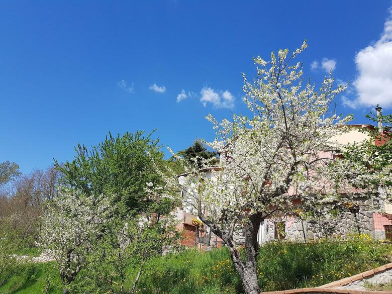 Agroturismo Podere Santa Luisa