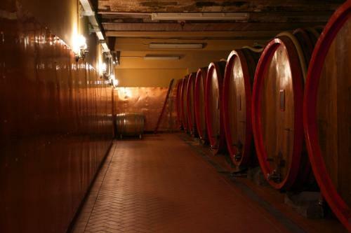Agroturismo Fattoria Viticcio