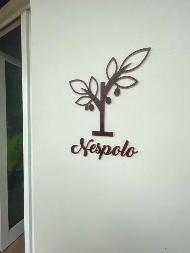 B&B Casina Il Mandorlo