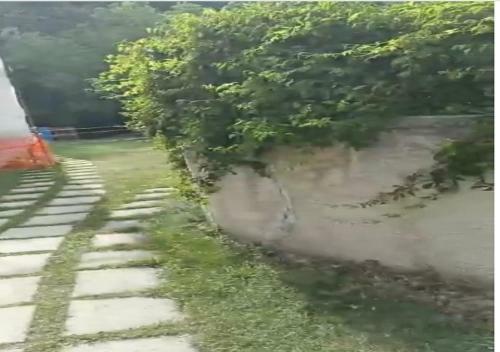 Apartamento Un Giardino Nel Bosco