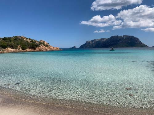 Apartamento Noemi Home Olbia - Panoramic And Super Comfy