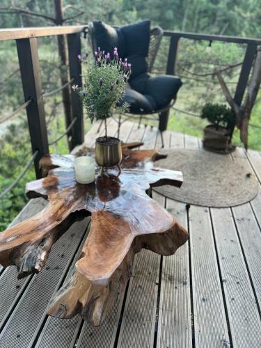 Bed & Breakfast My Tree Home Warszawa, Macierowe Bagno