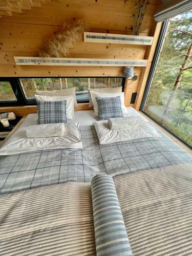 Bed & Breakfast My Tree Home Warszawa, Macierowe Bagno