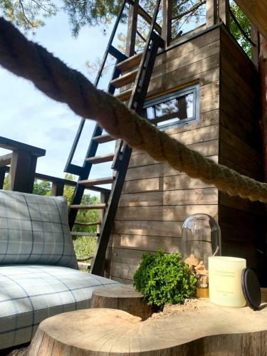 Bed & Breakfast My Tree Home Warszawa, Macierowe Bagno