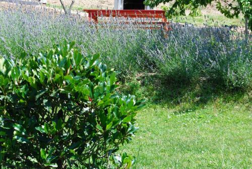 Bed And Breakfast La Cerasa