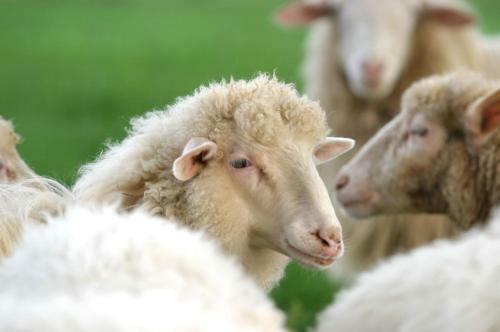 Agroturismo Agriturismo Archelao