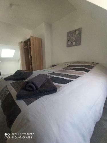 Apartamento Spacieux Et Confortable En Hyper Centre
