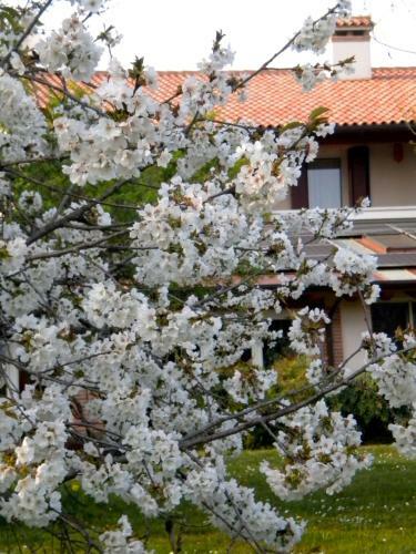 Agroturismo Agriturismo Il Magicorto