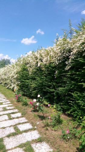 Agroturismo Agriturismo Il Magicorto