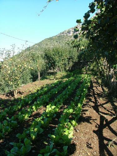Agroturismo Agriturismo La Ginestra