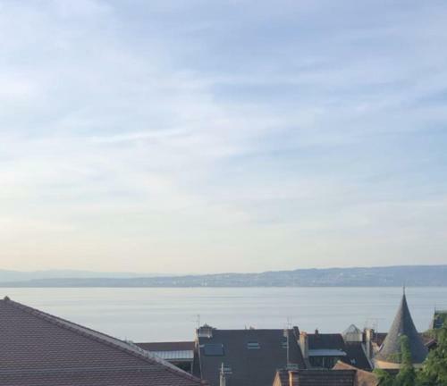 Apartamento Leman Lake Panoramic View - Evian-les-bains City Center