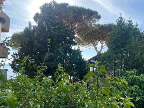 Apartamento Argentario? Tutto Da Scoprire