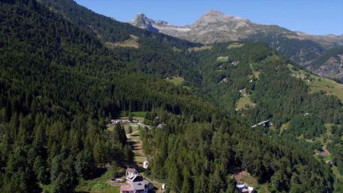 Camping Village Yolki Palki