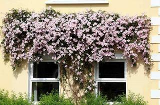 Bed & Breakfast Old Church House Kenmare