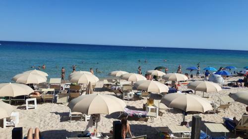 Apartamento Pula Appartamento Hollydays